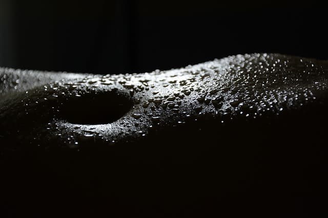 Schwarz weiß Bild mit Nahaufnahme eines Bauchnabels der mit glitzernden Wassertropfen bedeckt ist